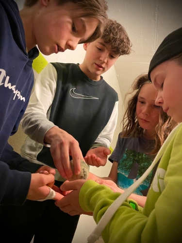 7564d4e9-fde5-4639-be66-ef3028fe89d6